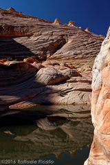 Grandi pozze d'acqua nei pressi di The Wave