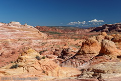 Panorama dell'area di Coyote Buttes North