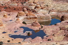 Small and huge water potholes attract thirsty wildlife