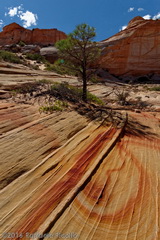 Incredibili sfumature di colore nel più totale silenzio di Coyote Buttes